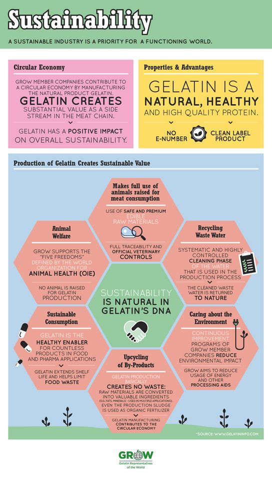 Infographic about GROWs sustainability