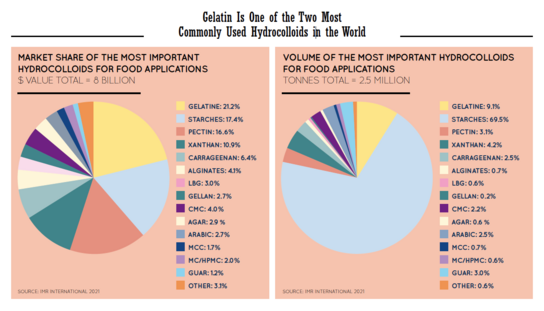Infographic about Hydrocolloids in the Food Industry