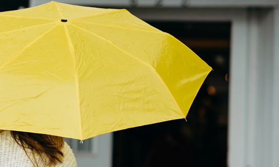 yellow umbrella